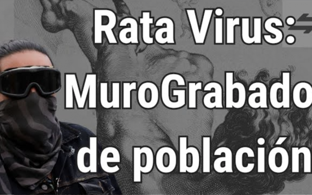 Programa Conversor, serie Conversores, T 1 Cap 04, Rata Virus: MuroGrabado de población